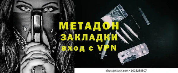 шишки Белокуриха