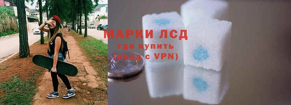 шишки Белокуриха