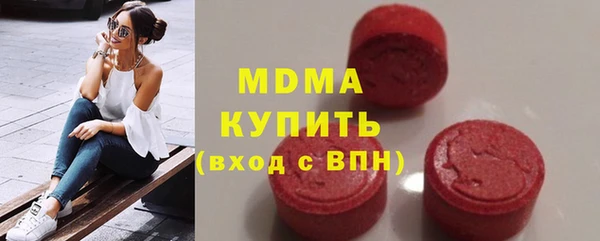 шишки Белокуриха