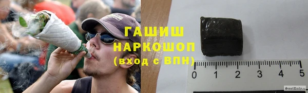 шишки Белокуриха
