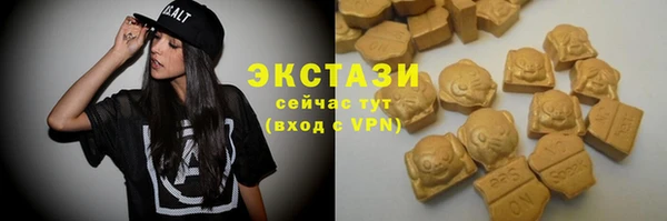 шишки Белокуриха