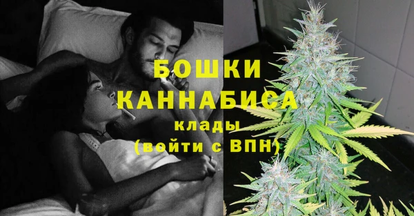 шишки Белокуриха