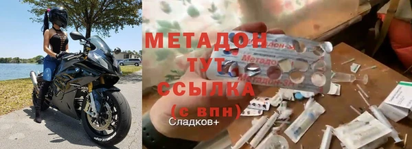 шишки Белокуриха