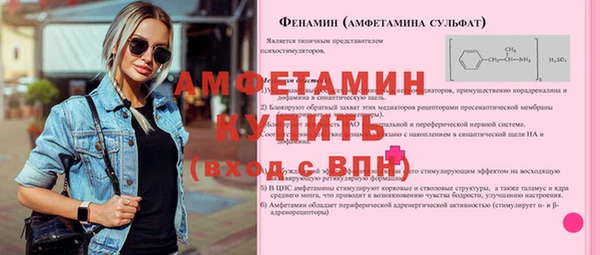 шишки Белокуриха