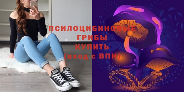 шишки Белокуриха